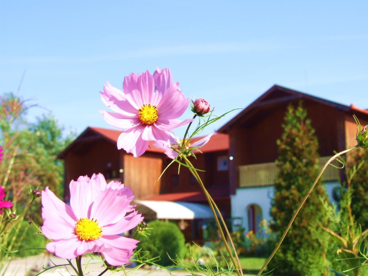 Csolnok Pollushof Panzio Es Etterem B&B 외부 사진